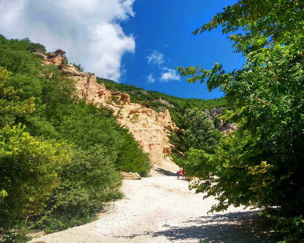 sentiero sterrato con montagna in fondo