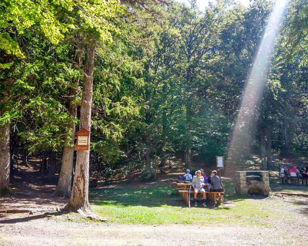 area-picnic con persone sedute ad abetone