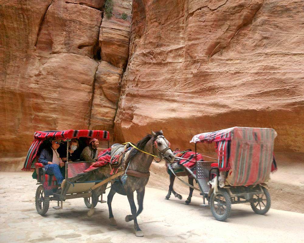 carretti con cavalli nel canyon di petra