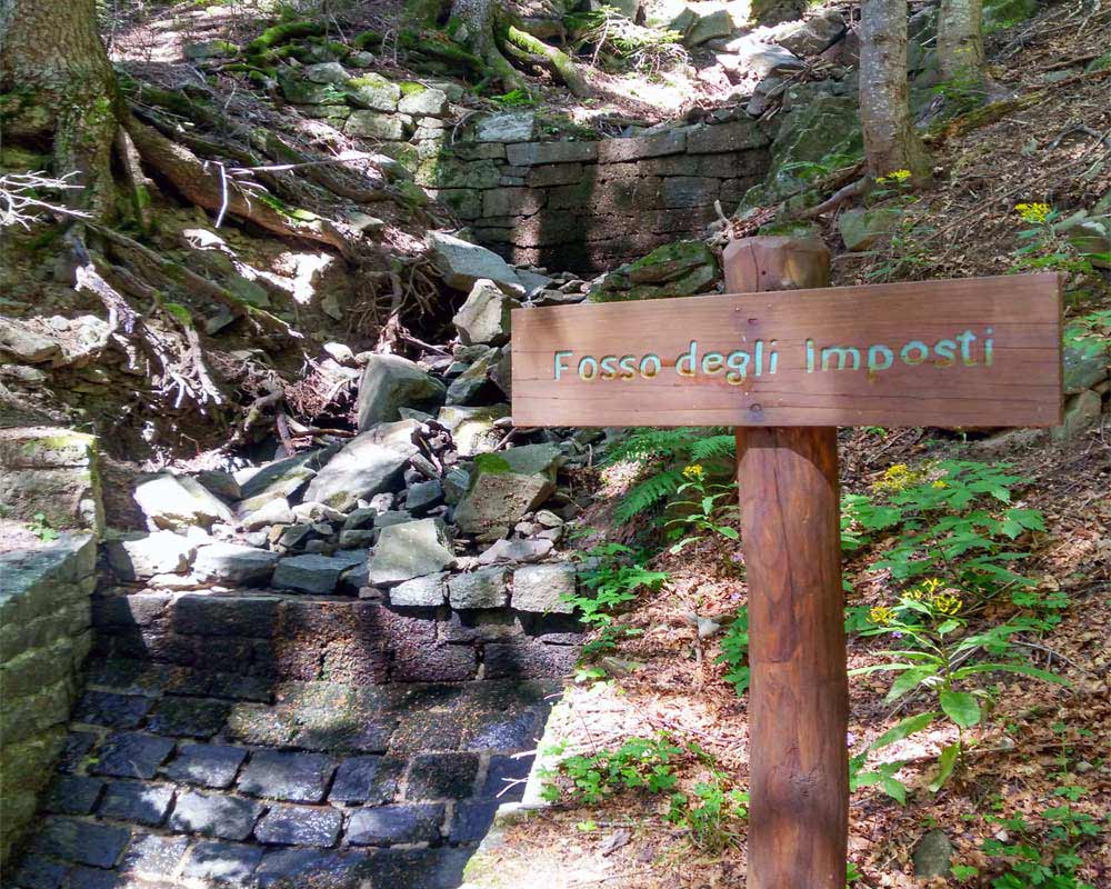 sorgente fosso degli imposti nel bosco ad abetone