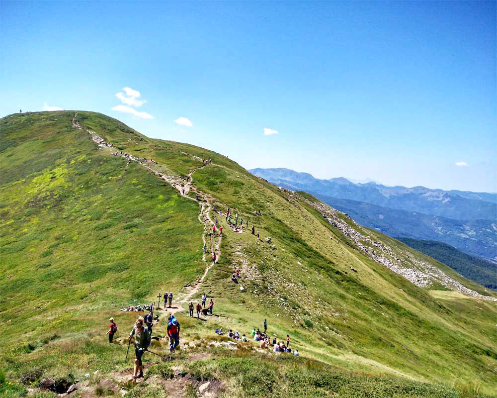 sentiero sulla sella del libro aperto