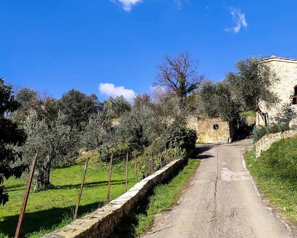 via di doccia tra gli ulivi e via dell'olmeto a destra