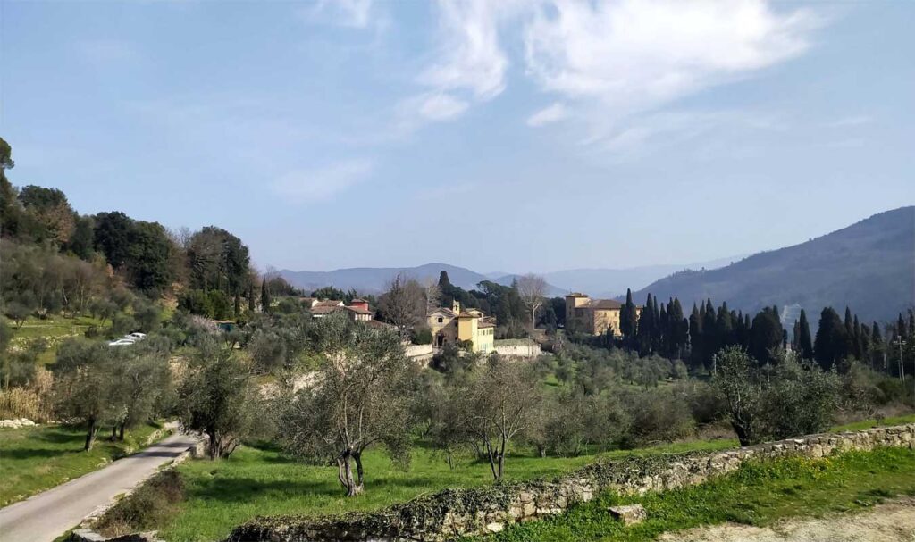 compiobbi paesaggio con case e oliveti