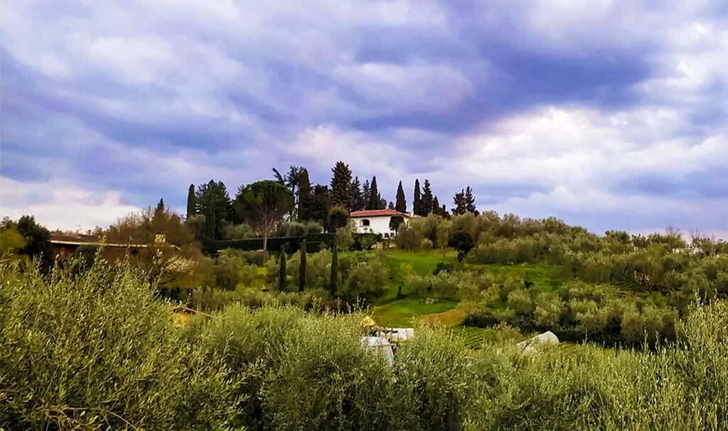 collina con olivi e casa vista da via san carlo firenze