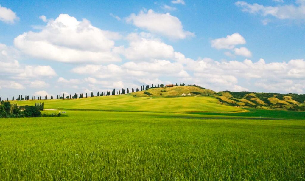 biancane di leonina paesaggio con cipressi a Siena