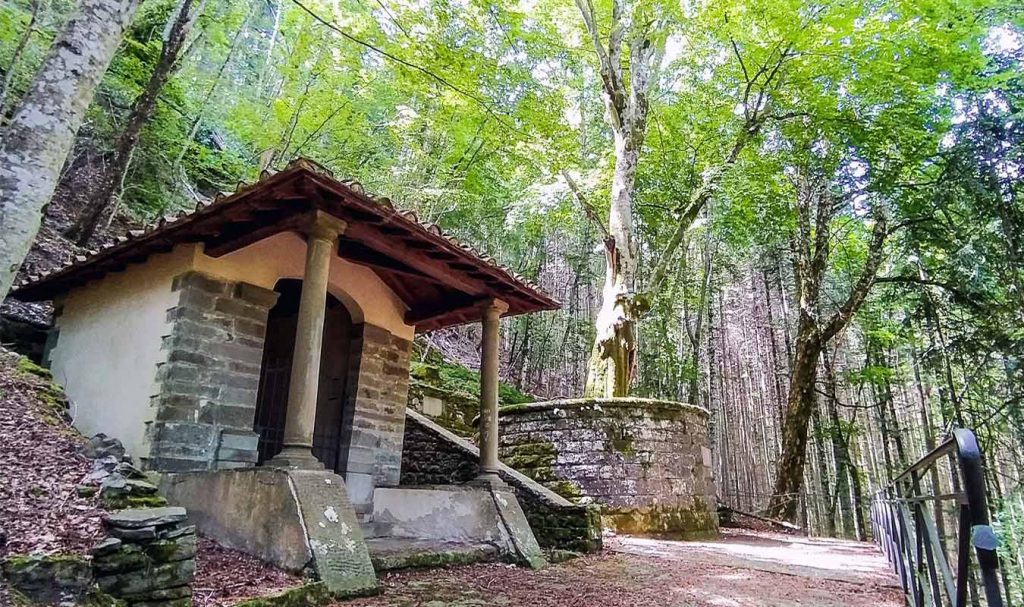 vallombrosa cappella del faggio santo con il faggio accanto e altri alberi dietro