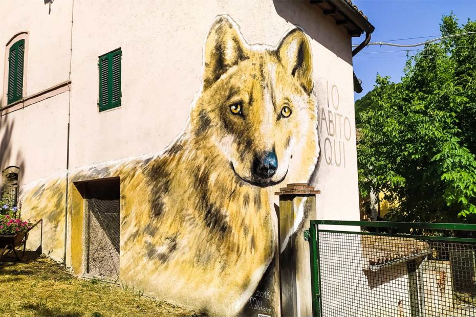braccano murales con lupo sul muro di una casa