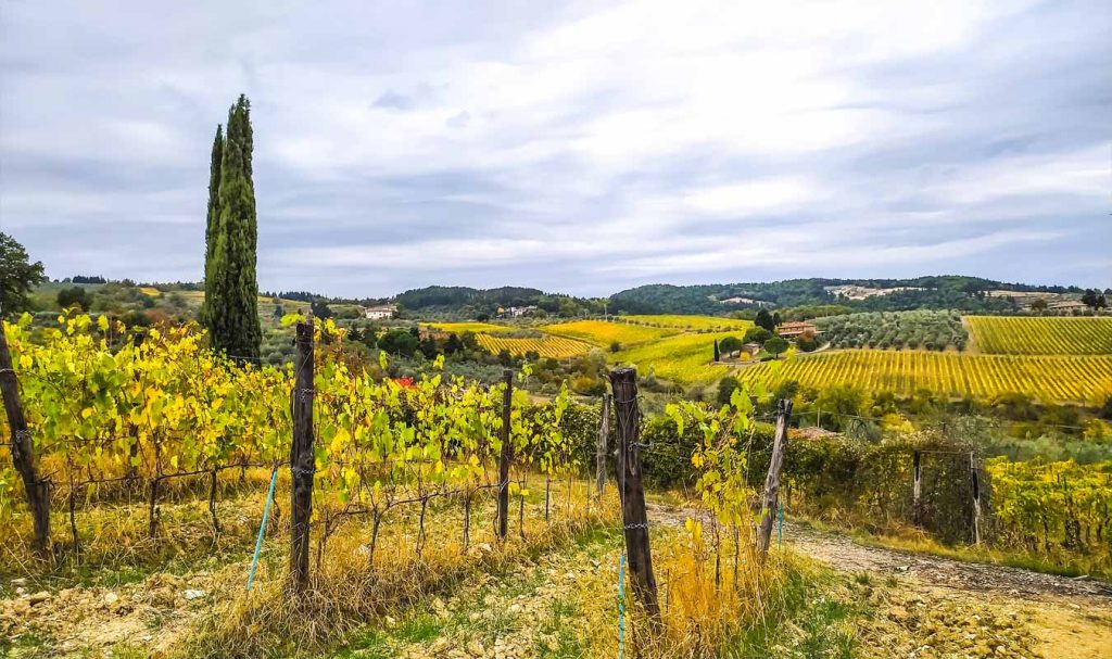 montefioralle paesaggio con vigneti in autunno