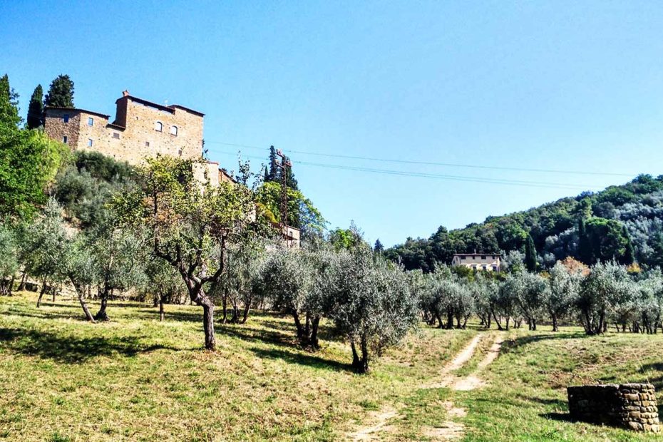 anello di cintoia vista su castello di sezzate circondato da oliveti