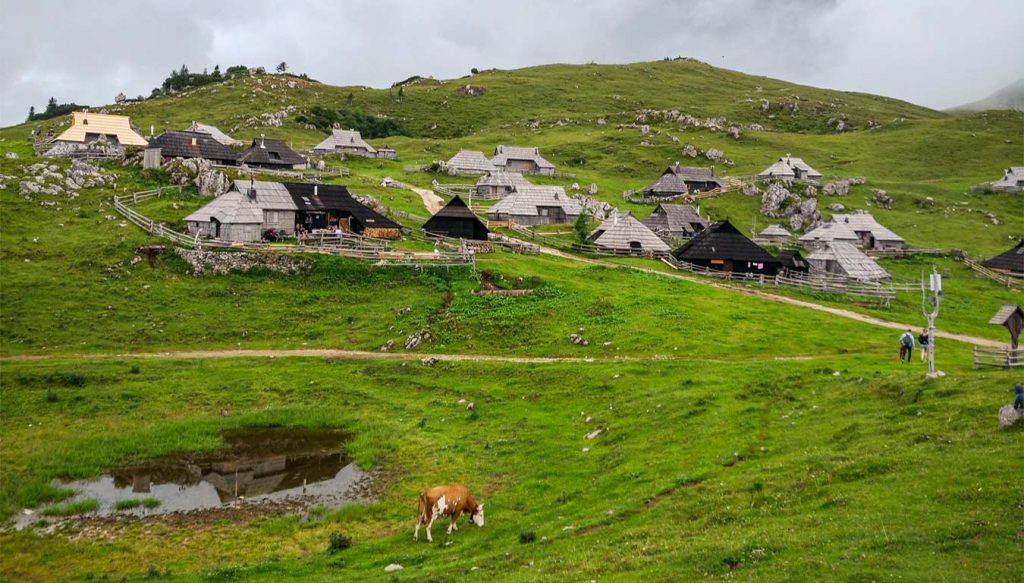 velika planina