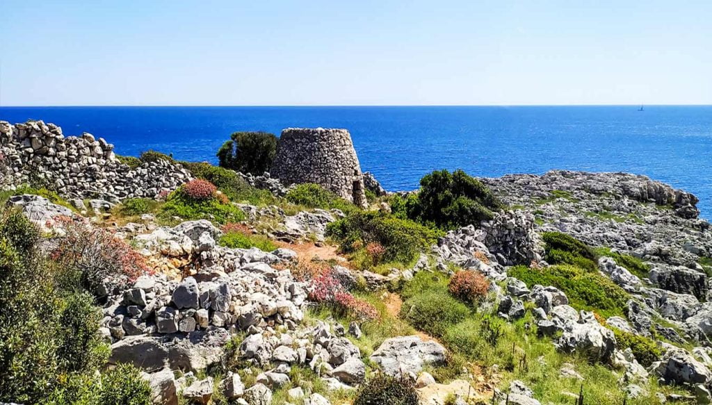 sentiero delle cipolliane