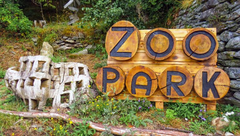 Zoo Park di Levigliani, dove la fantasia non ha limiti