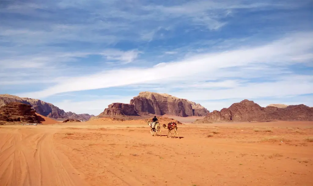 paesaggio nel deserto con cammello