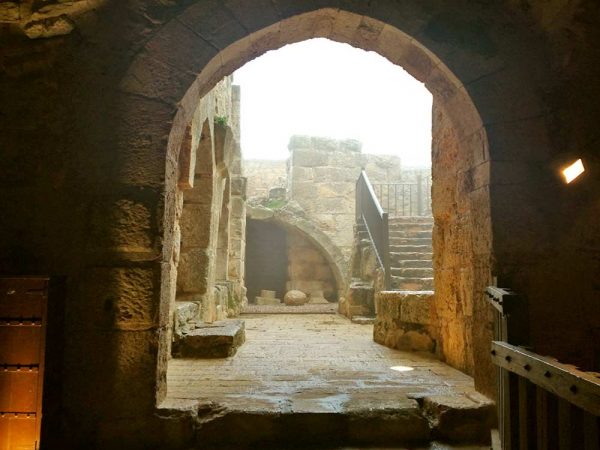 vista della terazza del castello di ajlun in giordania