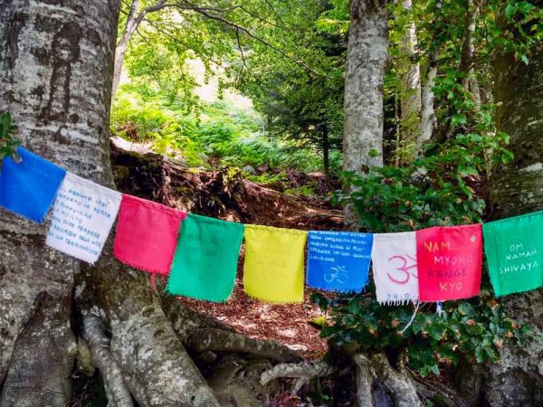 bandiere colorate di preghiera all'albero con occhi di terzani a orsigna