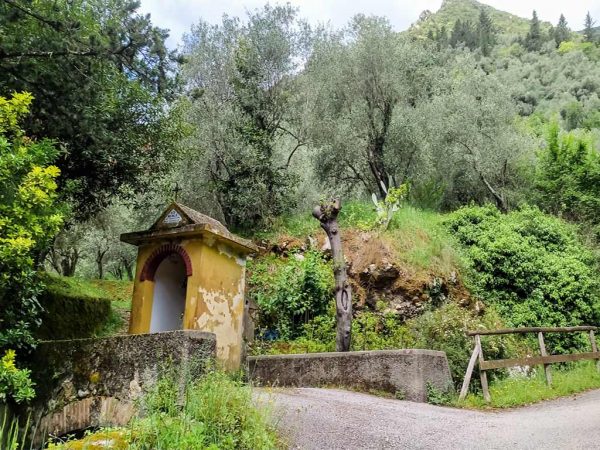 camaiore-antiqua-tabernacolo tabernacolo vado