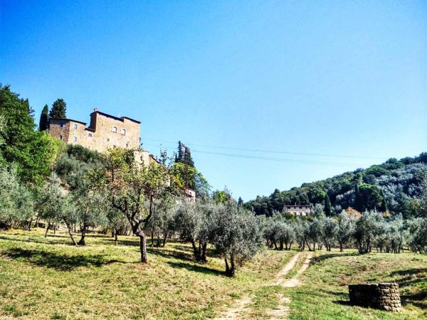 vista su castello di sezzate circondato da oliveti