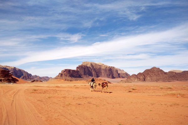 cammello con persona sopra che cammina nel deserto wadi rum in giordania