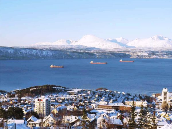 vista dall'alto della città di narvik, mare e monatgne
