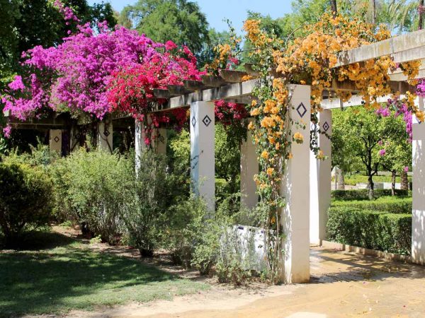 veranda decorata con rose all'interno del parco maria di luisa