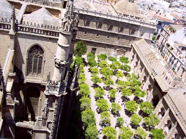 vista sul patio di naranjos dai tetti della cattedrale di siviglia