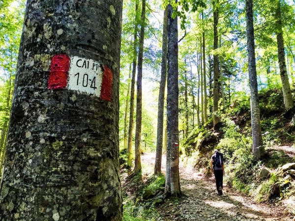 indicazioni cai 104 sul tronco dell'albero e persona che sale sul sentiero nel bosco