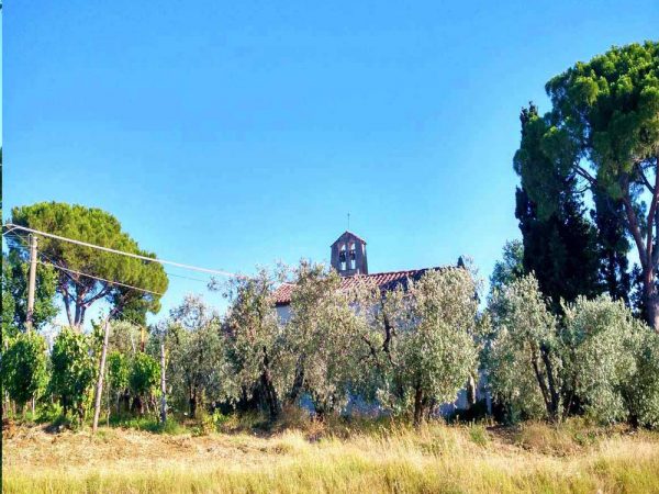 chiesa di san niccolo a scandicci tra gli ulivi