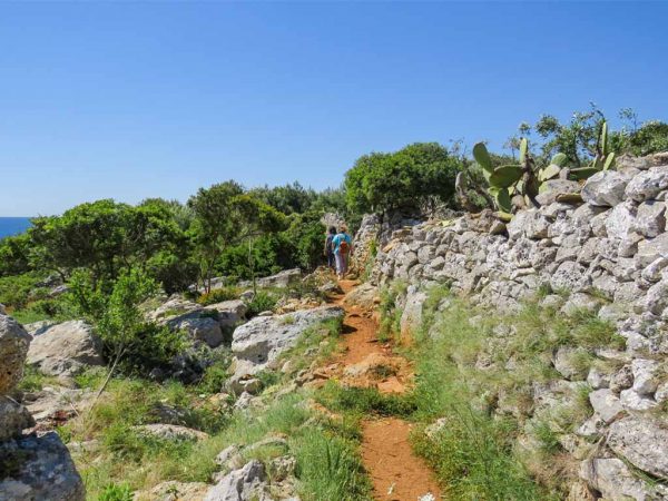 sentiero delle cipolliane muretto in pietra lungo il percorso