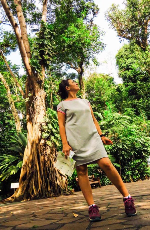persona che guarda alberi nel giardino botanico a singapore